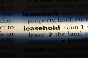 Impact of the Leasehold and Freehold Bill on councils image