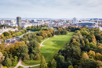 Mental health impacted by decline in green space  image