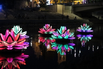 New festival to light up Scarborough image