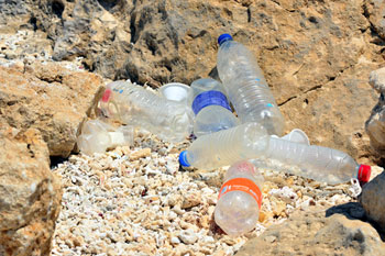 Plastic bottle ban to be debated by county council image