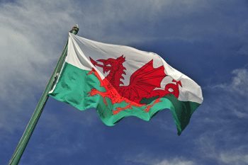 Wrexham to implement five-year Welsh language strategy image