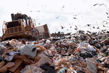 Applications for ‘green’ waste sites down by 20%