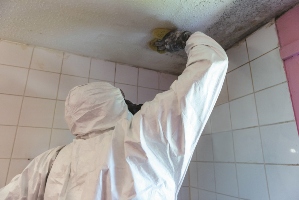 Airtech Offers Condensation and Mould Advice to Landlords as Energy Crisis Looms image
