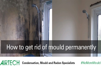 Airtech Offers Social Housing Landlords Expert Advice and Help to Tackle Mould image
