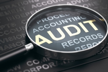 Auditor calls for national changes after public interest report image