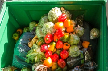 Changes to food waste collection and recycling: What actions do councils need to take?  image