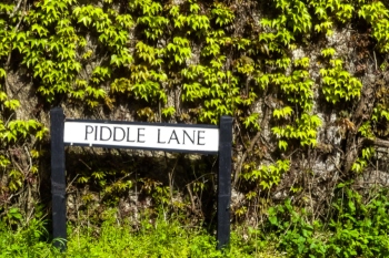 Communities to have more control over changes to street names image