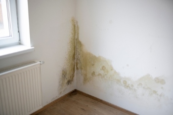 Council let ‘uninhabitable’ flat to family image
