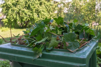 Councils warn against unnecessary free garden waste collections image
