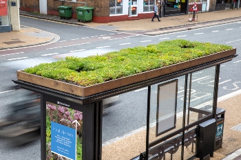 Encouraging biodiversity in UK cities: Bee Bus Stops and more image