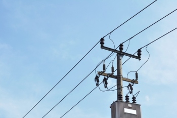 Epping Forest waste teams manage downed power line hazard image