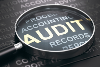 Government to reset’ local audit image