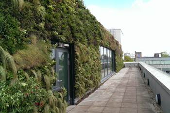 Green gatekeepers: How local authorities are creating sustainable cities image