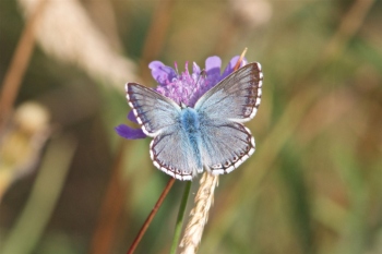 Hampshire nature scheme receives £160k funding support image