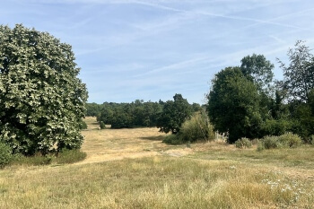 High Court quashes Spurs Whitewebbs Park academy plans image