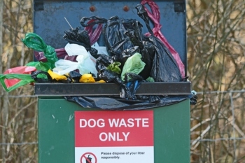 Hillingdon to eliminate all dog waste bins image