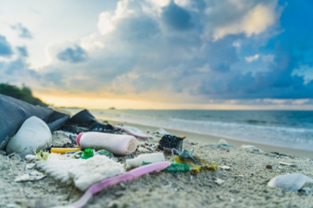 Litter overwhelming councils in tourist hotspots, warns union image