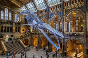 Museums and galleries to receive £48m boost image