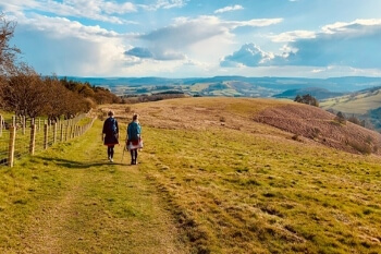 Nature recovery strategy launched for Shropshire and Telford & Wrekin image