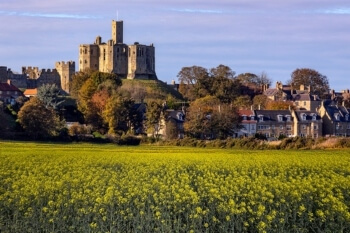 Rural areas £19bn short of growth potential, report warns image