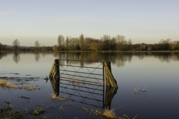 Somerset councils declare ‘major incident’ in response to floods image