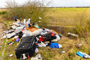 Think-tank urges litter and fly-tipping crackdown image