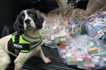 Vape sniffer dog uncovers £18.5k of contraband  image
