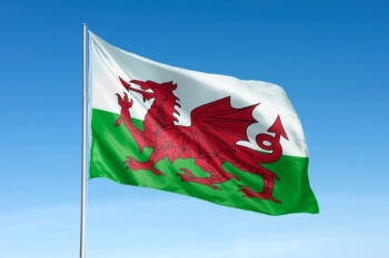 Welsh councils agree shared vision for the future of local government image