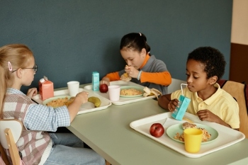 Council-run education catering services face mounting pressures, research finds Council-run education catering services face mounting pressures, research finds