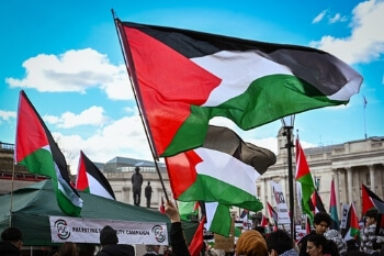 Over 1,000 councillors sign ‘Pledge for Palestine’ Over 1,000 councillors sign ‘Pledge for Palestine’