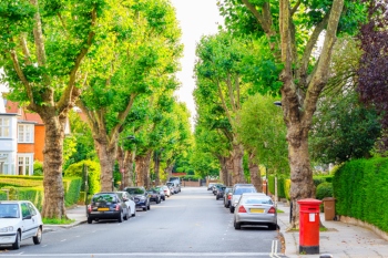 LocalGov.co.uk - Your authority on UK local government - Urban Tree Fund re-opens for third phase - Vimarsana News
