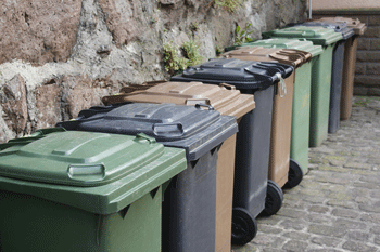 Council to introduce four-weekly bin collection  image